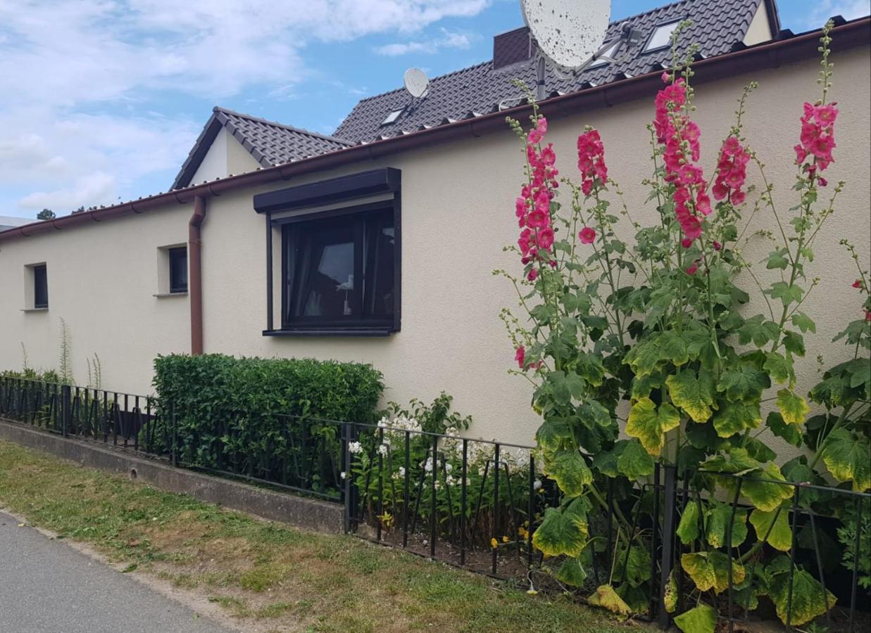 Ferienhaus An Der Ostsee Rerik Exterior photo